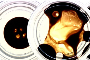 Green Products for oil wells Image