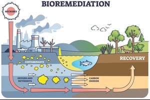 Green Bioremediation Products Image
